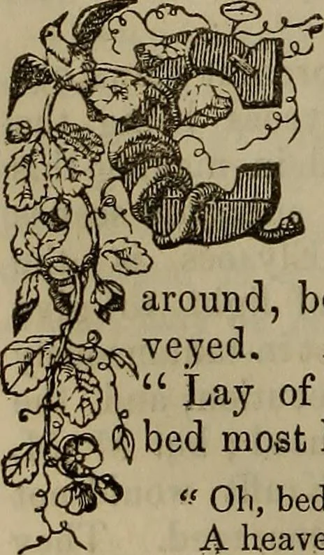 An illustration from The Photographic art-journal, 1851, leaf 133