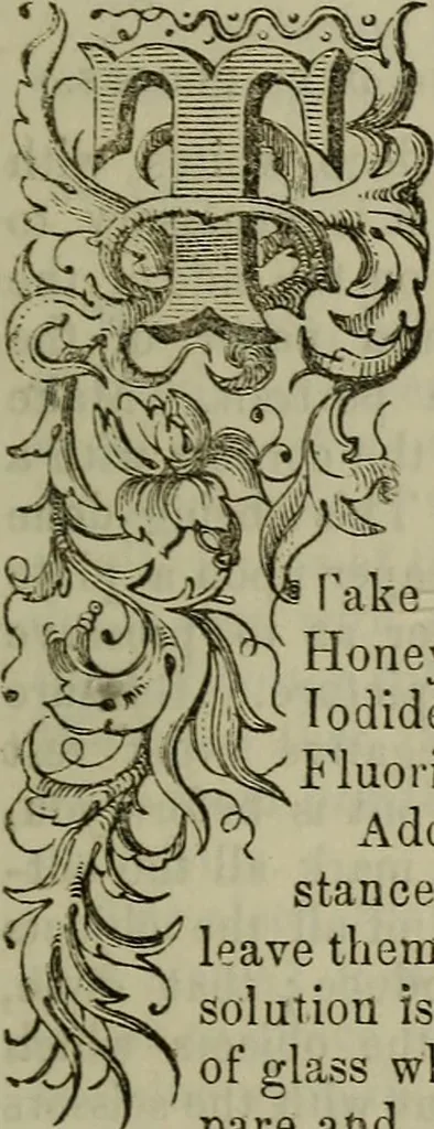 An illustration from The Photographic art-journal, 1851, leaf 146