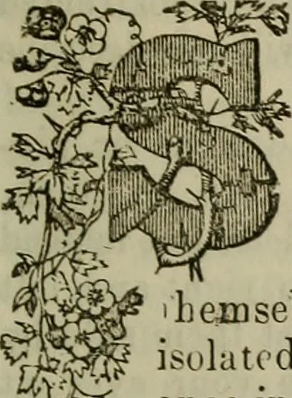 An illustration from The Photographic art-journal, 1851, leaf 150