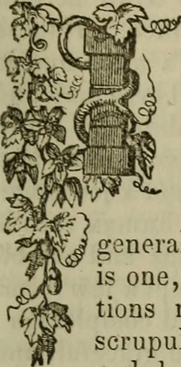 An illustration from The Photographic art-journal, 1851, leaf 162