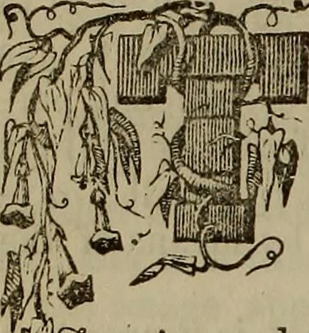 An illustration from The Photographic art-journal, 1851, leaf 179
