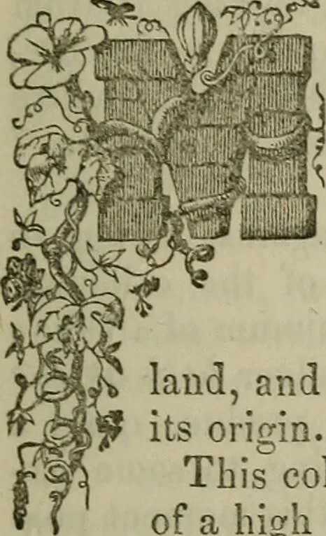 An illustration from The Photographic art-journal, 1851, leaf 22