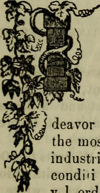 An illustration from The Photographic art-journal, 1851, leaf 220