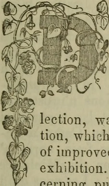 An illustration from The Photographic art-journal, 1851, leaf 24
