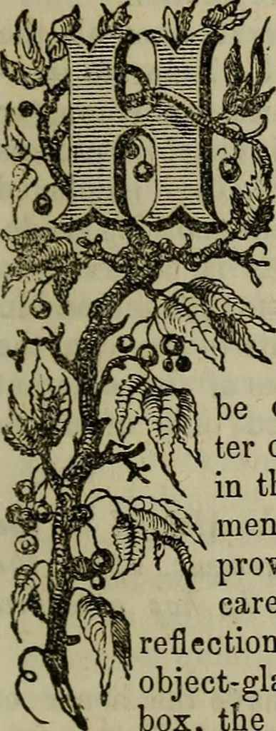 An illustration from The Photographic art-journal, 1851, leaf 274