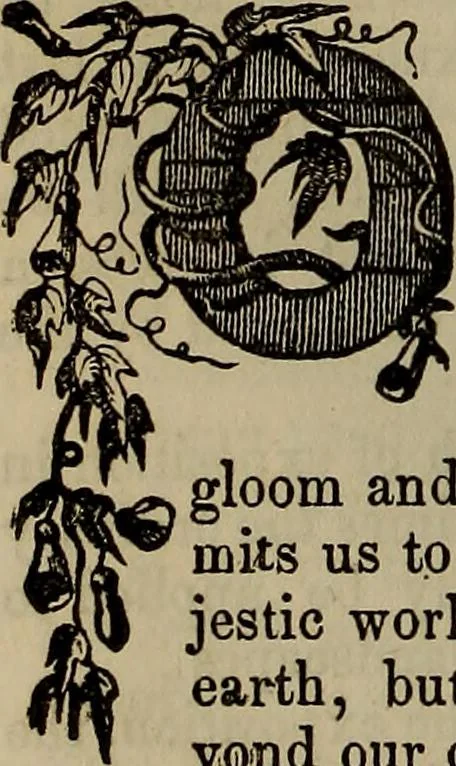 An illustration from The Photographic art-journal, 1851, leaf 287