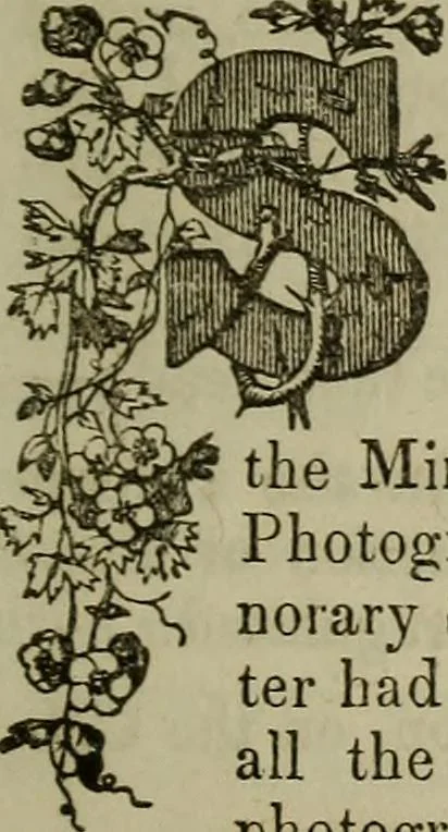 An illustration from The Photographic art-journal, 1851, leaf 296