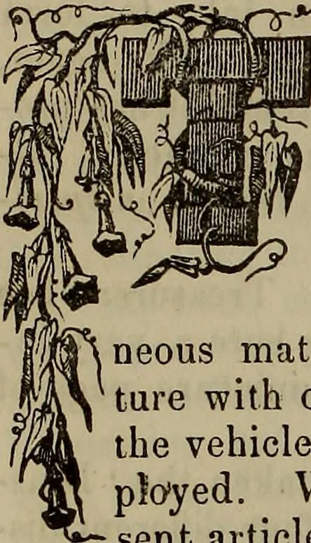 An illustration from The Photographic art-journal, 1851, leaf 313