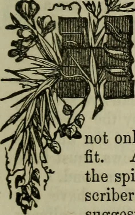 An illustration from The Photographic art-journal, 1851, leaf 318