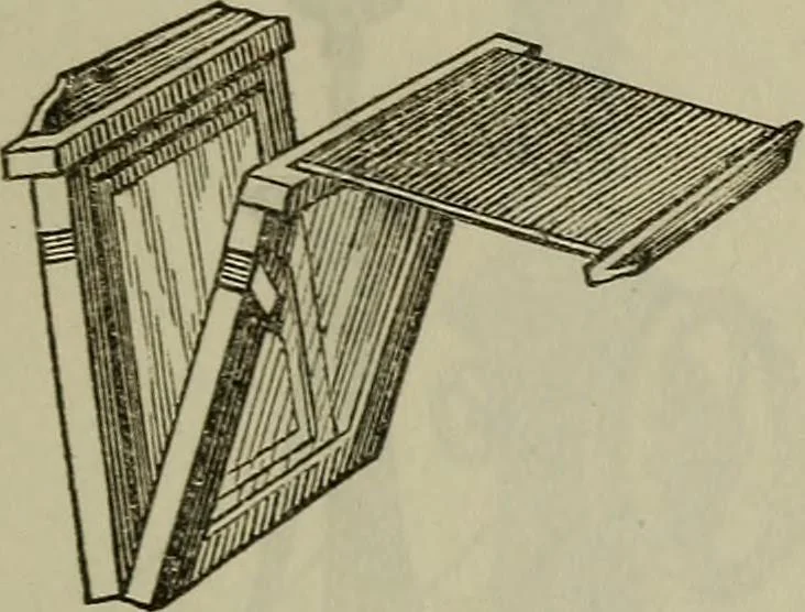 An illustration from The Photographic art-journal, 1851, leaf 322