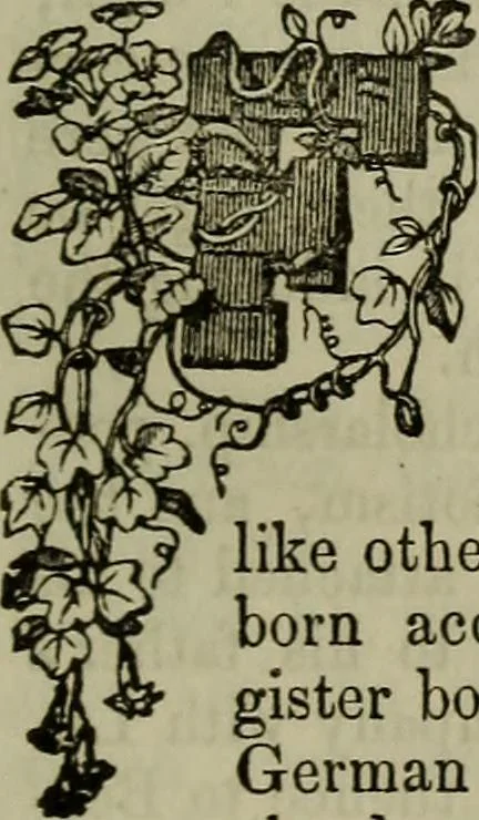 An illustration from The Photographic art-journal, 1851, leaf 326