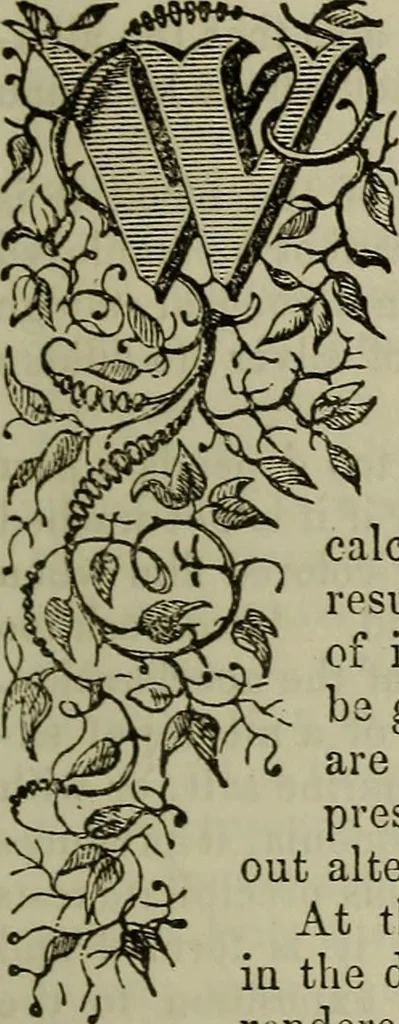 An illustration from The Photographic art-journal, 1851, leaf 338