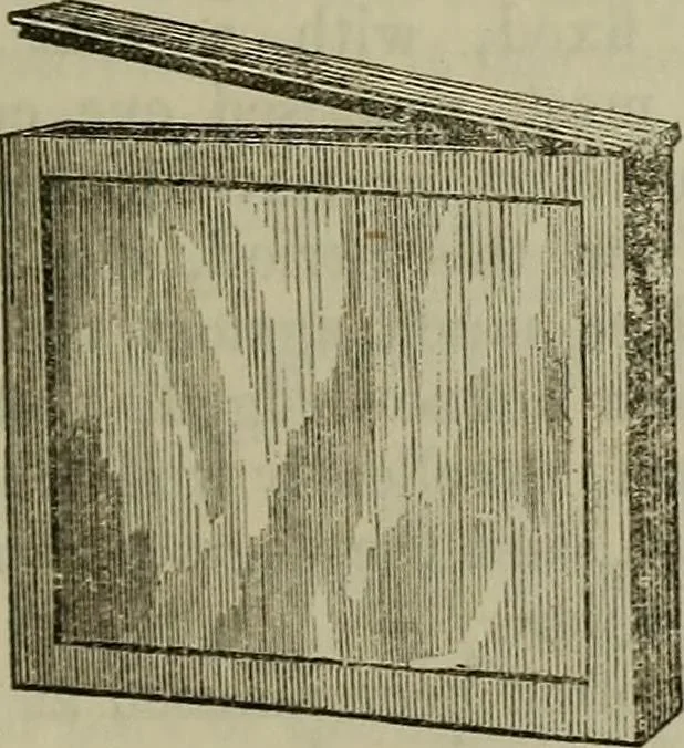 An illustration from The Photographic art-journal, 1851, leaf 368