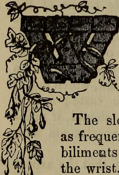 An illustration from The Photographic art-journal, 1851, leaf 381