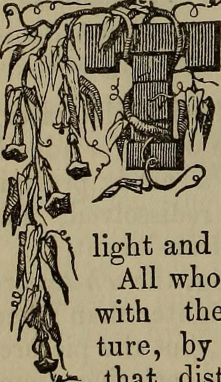 An illustration from The Photographic art-journal, 1851, leaf 387