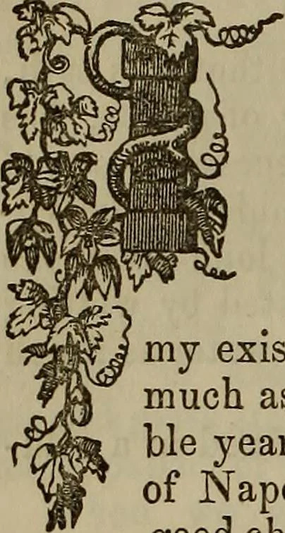An illustration from The Photographic art-journal, 1851, leaf 55