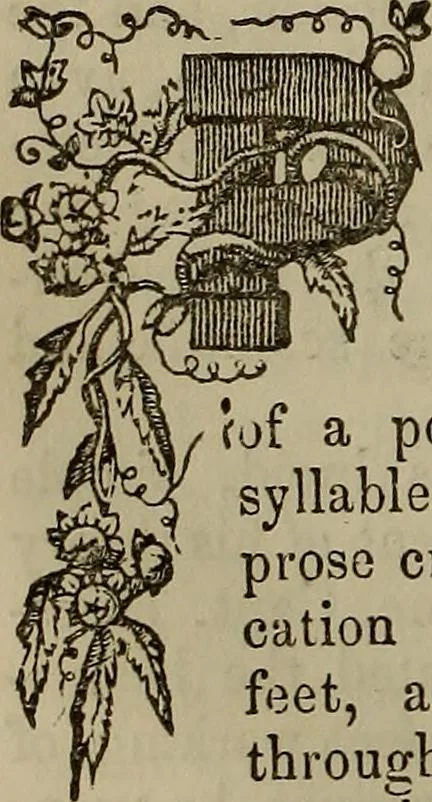 An illustration from The Photographic art-journal, 1851, leaf 65
