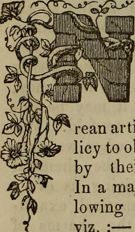 An illustration from The Photographic art-journal, 1851, leaf 69