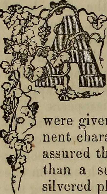 An illustration from The Photographic art-journal, 1851, leaf 87