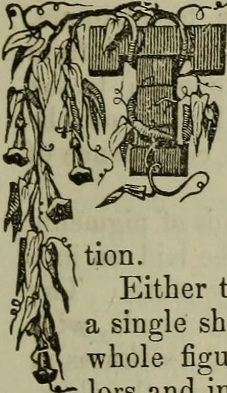 An illustration from The Photographic art-journal, 1851, leaf 88