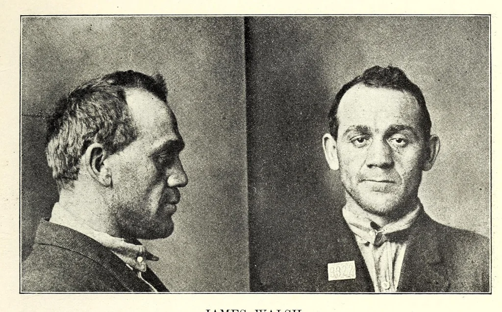 An illustration from Photographs, descriptions and records of persons charged with violation of the postal laws, 1916, leaf 241