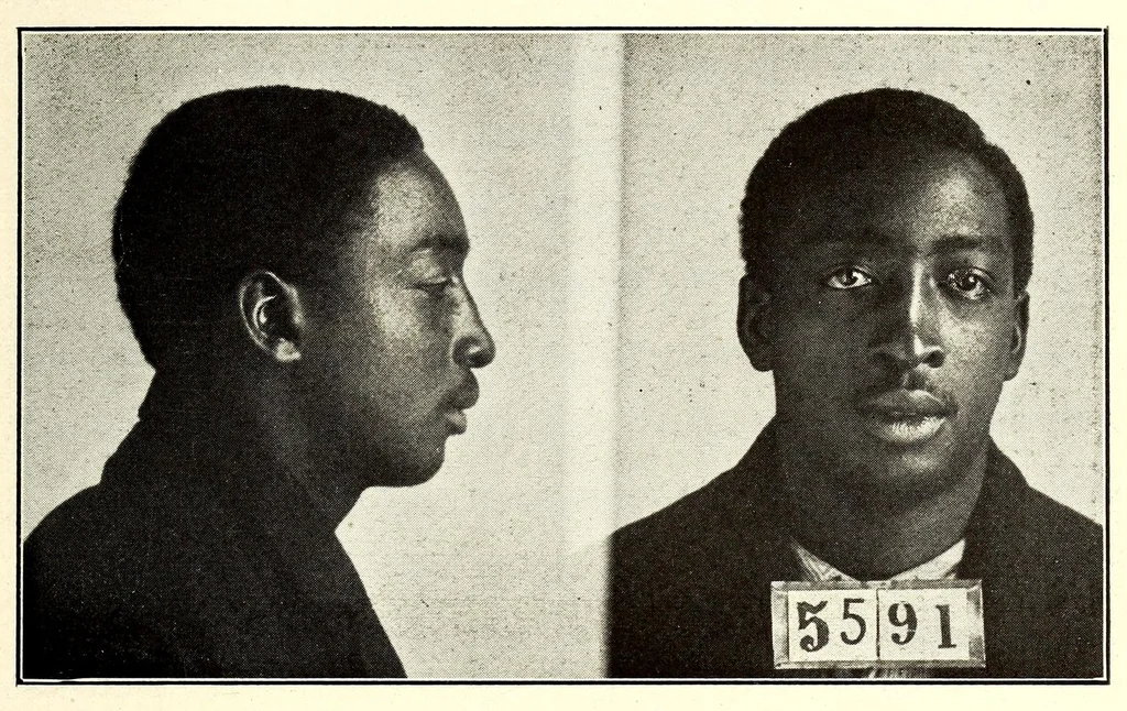 An illustration from Photographs, descriptions and records of persons charged with violation of the postal laws, 1916, leaf 245