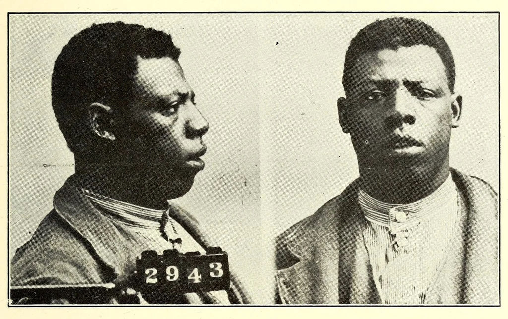 An illustration from Photographs, descriptions and records of persons charged with violation of the postal laws, 1916, leaf 485