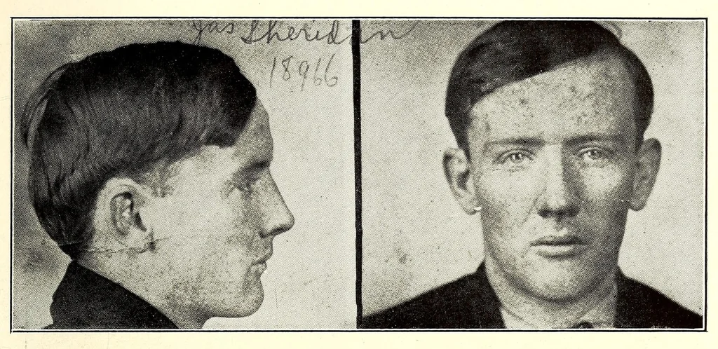 An illustration from Photographs, descriptions and records of persons charged with violation of the postal laws, 1916, leaf 85