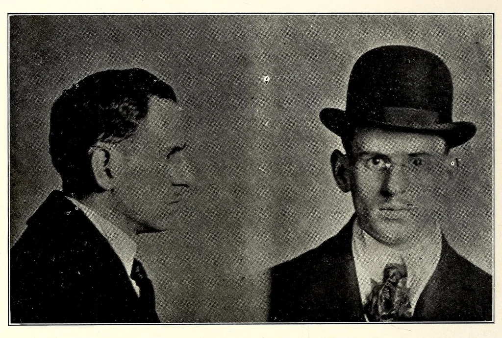 An illustration from Photographs, descriptions and records of persons charged with violation of the postal laws, 1916, leaf 354