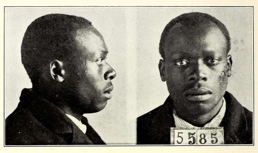 An illustration from Photographs, descriptions and records of persons charged with violation of the postal laws, 1916, leaf 380
