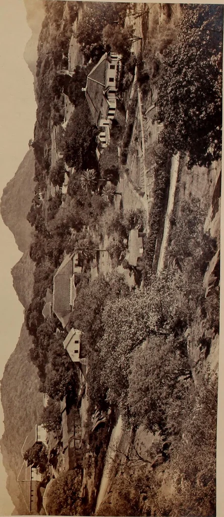 An illustration from Photographs of architecture and scenery in Gujarat and Rajputana, 1874, leaf 26