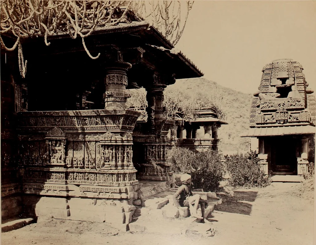 An illustration from Photographs of architecture and scenery in Gujarat and Rajputana, 1874, leaf 62
