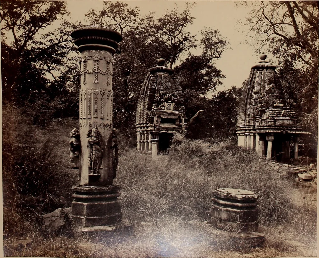 An illustration from Photographs of architecture and scenery in Gujarat and Rajputana, 1874, leaf 82