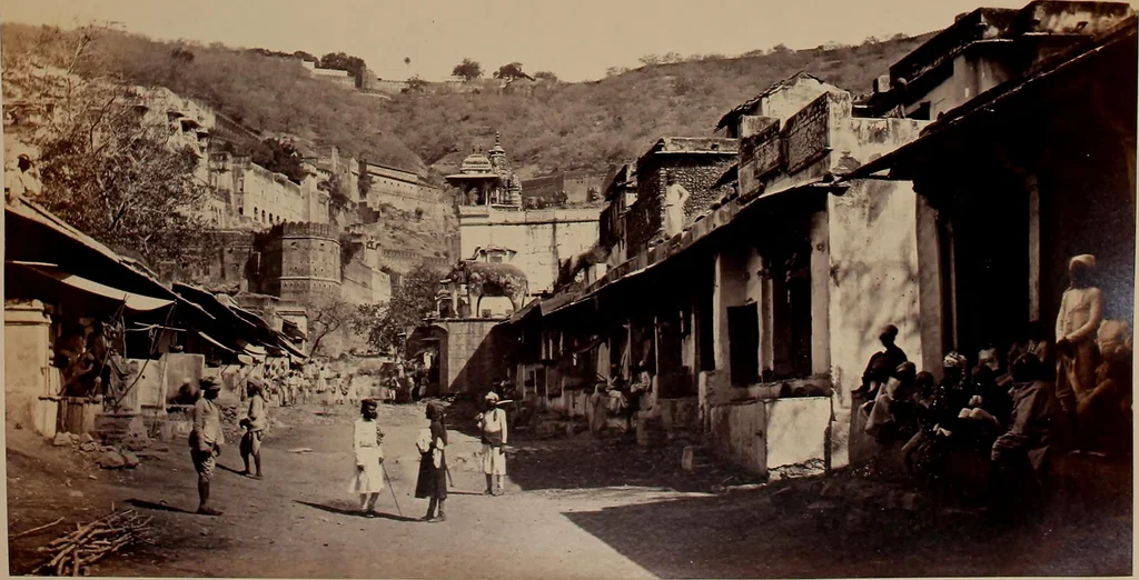 An illustration from Photographs of architecture and scenery in Gujarat and Rajputana, 1874, leaf 88