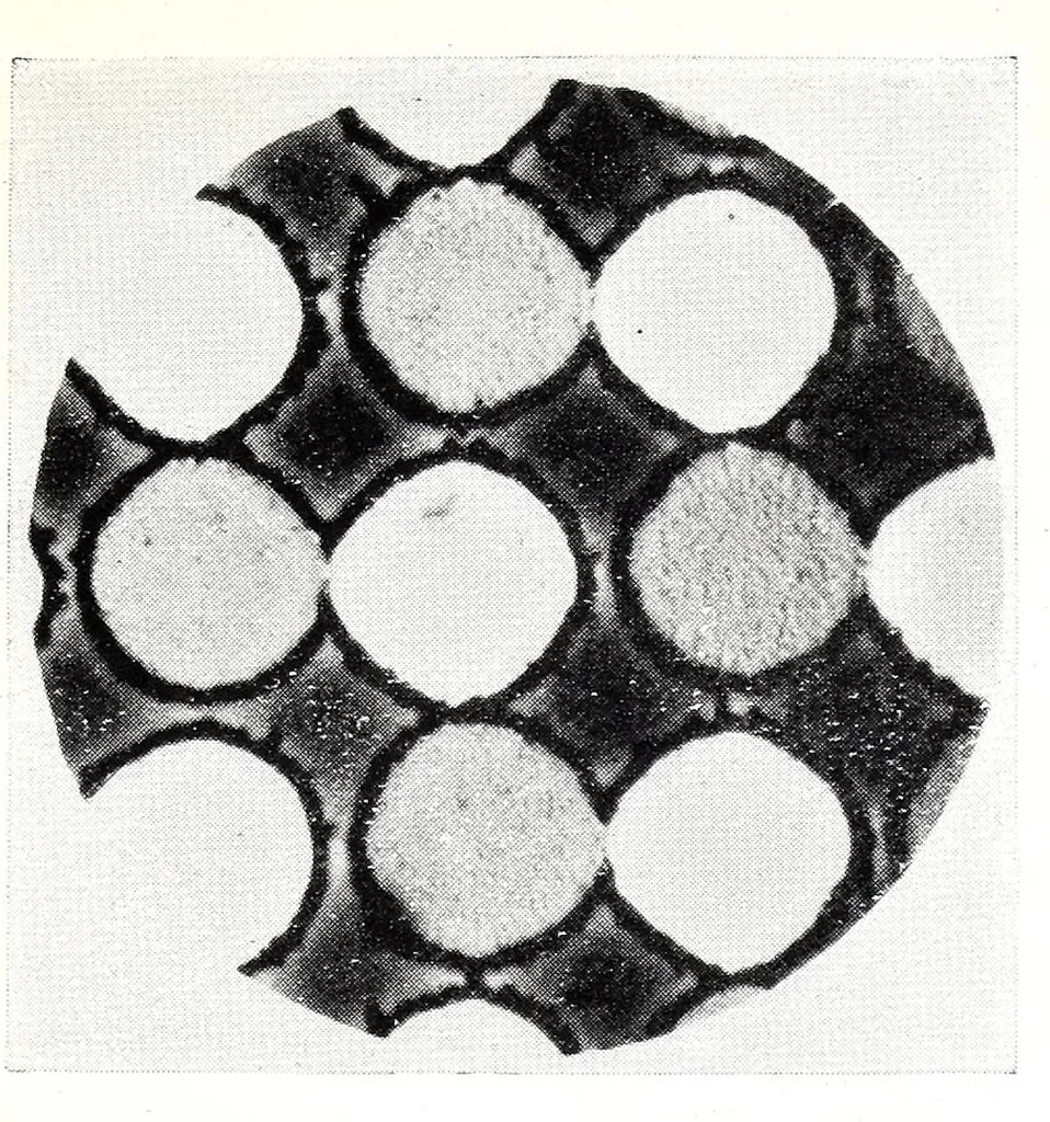 An illustration from Photography in colours, 1917, leaf 107