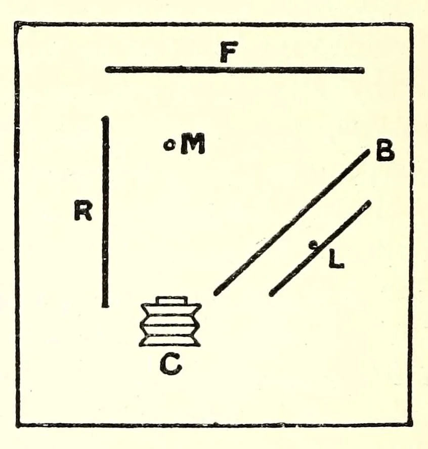 An illustration from Photography in colours, 1917, leaf 172