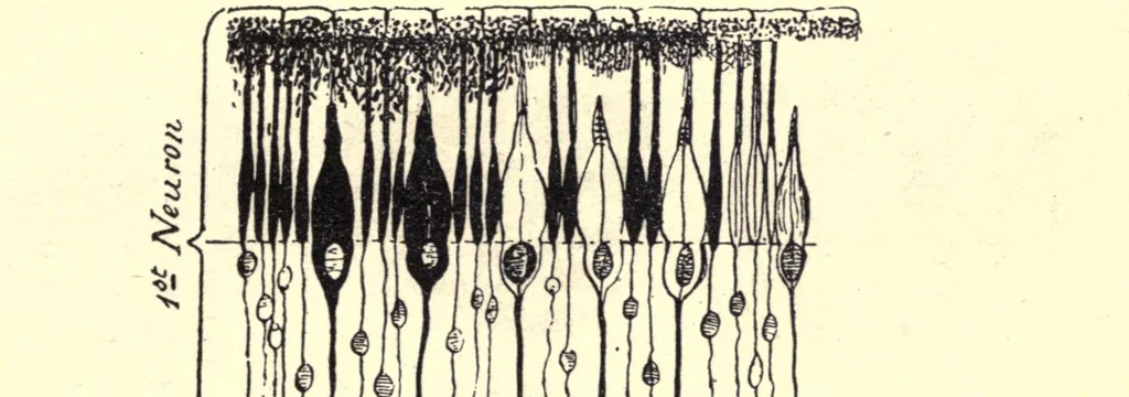 An illustration from Photography in colours : a text-book for amateurs and students of physics : with a chapter on kinematography in the colours of nature, 1914, leaf 55