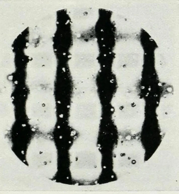 An illustration from Photography in colours, 1916, leaf 109