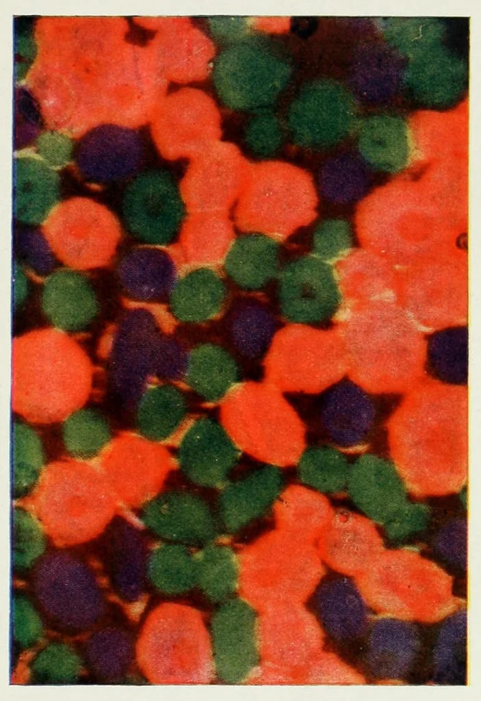 An illustration from Photography in colours, 1916, leaf 121