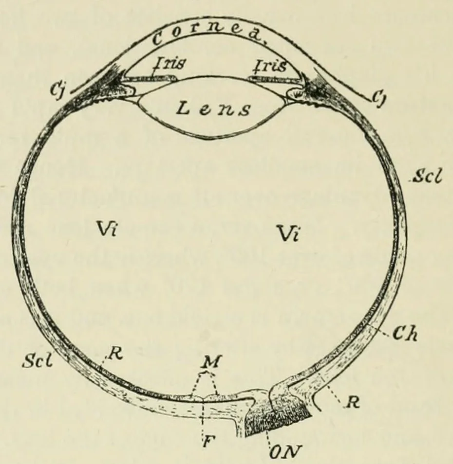 An illustration from Photography in colours, 1916, leaf 64