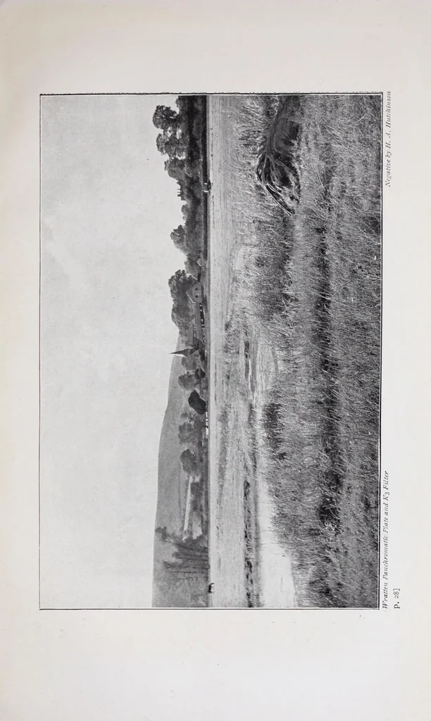 An illustration from The photography of coloured objects, 1909, leaf 45