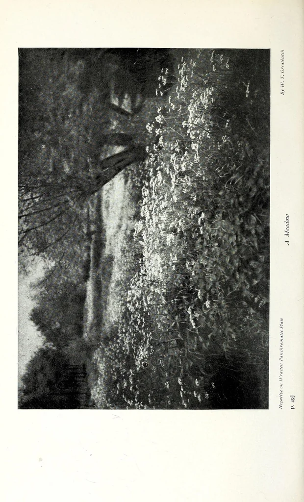 An illustration from The photography of coloured objects, 1909, leaf 88