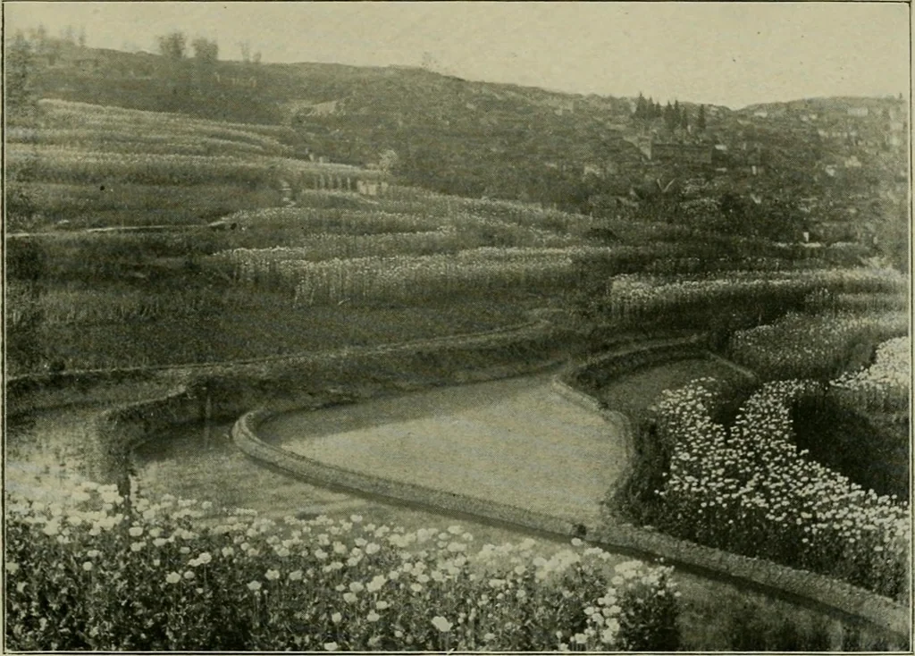 An illustration from Chinese pictures : notes on photographs made in China, 1900, leaf 130