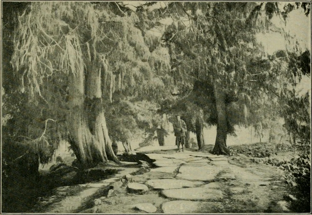 An illustration from Chinese pictures : notes on photographs made in China, 1900, leaf 22