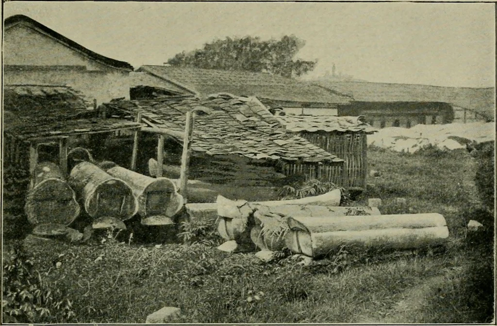 An illustration from Chinese pictures : notes on photographs made in China, 1900, leaf 72