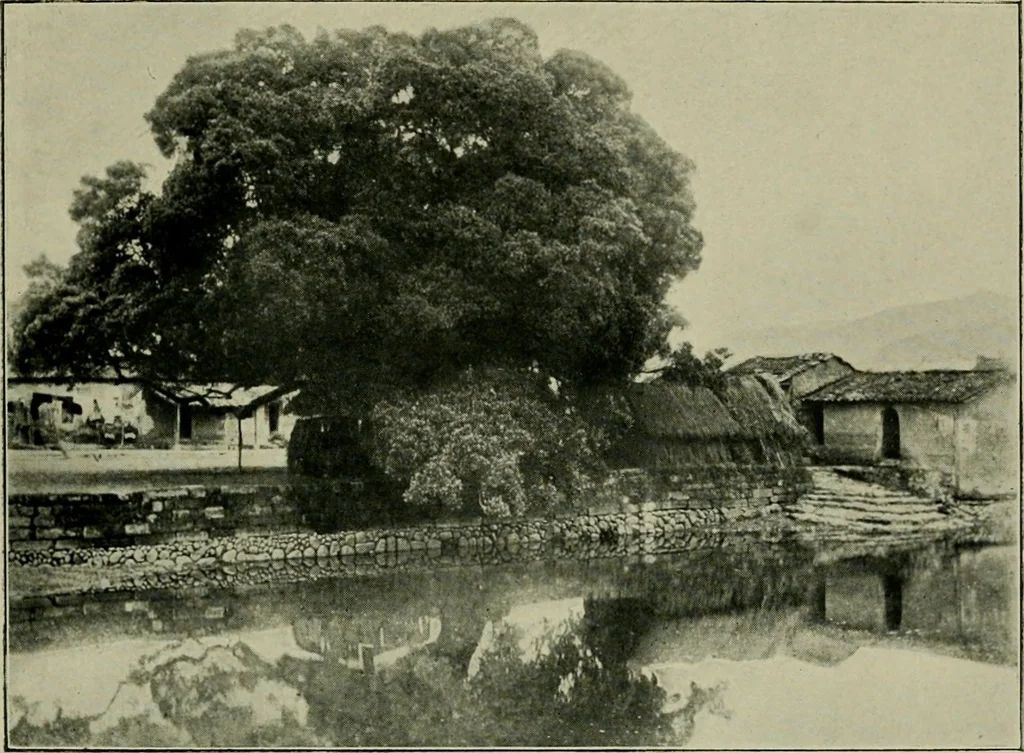 An illustration from Chinese pictures : notes on photographs made in China, 1900, leaf 80