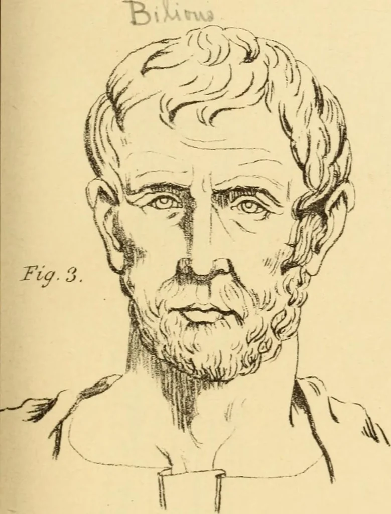 An illustration from Phrenology in connection with the study of physiognomy : to which is prefixed a biography of the author by Nahum Capen, 1836, leaf 374
