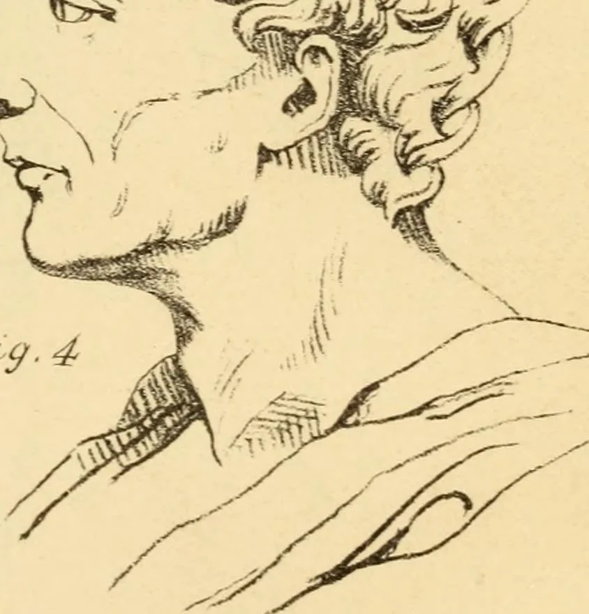 An illustration from Phrenology in connection with the study of physiognomy : to which is prefixed a biography of the author by Nahum Capen, 1836, leaf 374