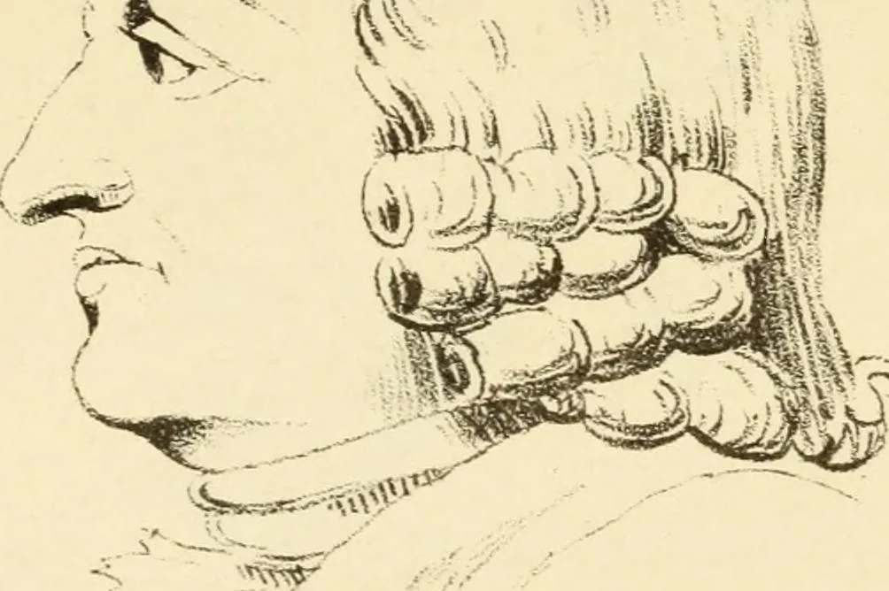 An illustration from Phrenology in connection with the study of physiognomy : to which is prefixed a biography of the author by Nahum Capen, 1836, leaf 378