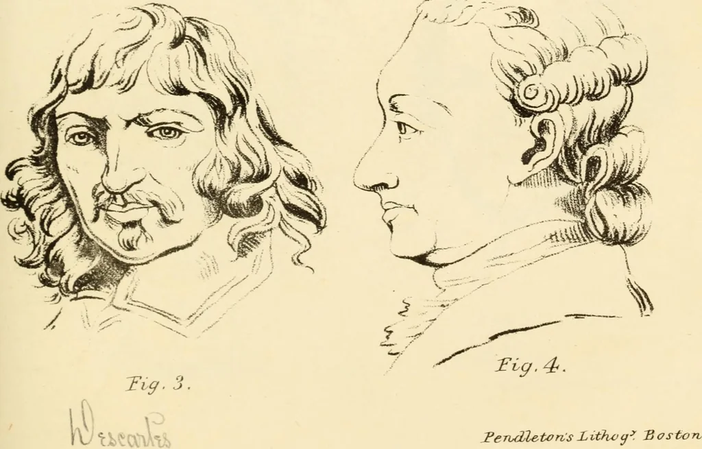 An illustration from Phrenology in connection with the study of physiognomy : to which is prefixed a biography of the author by Nahum Capen, 1836, leaf 378